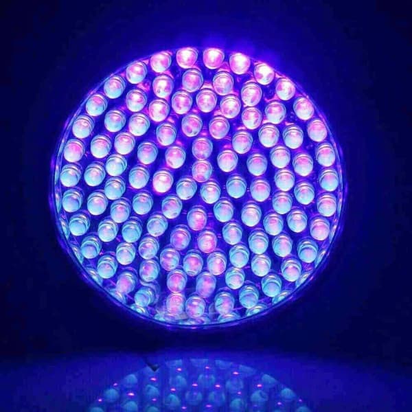 100 LED UV Flashlight Torch Light Lamp Ultraviolet Blacklight Aluminum
