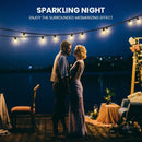 100m LED Festoon String Lights - Outdoor Commercial Quality Poultry & Event Lighting 100 Warm White Bulbs
