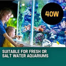 Aquarium External Canister Filter Aqua Fish Tank Pond Pump UV