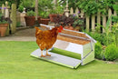 Auto Chicken Feeder new