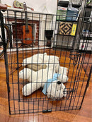 Dog exercise pen - adjustable with door 90cm high