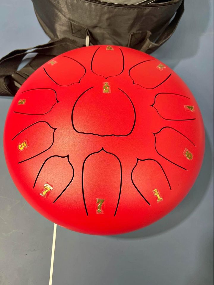 drum 10 inch new with bag