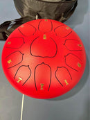 drum 10 inch new with bag