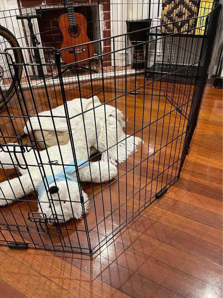 Dog exercise pen - adjustable with door 90cm high