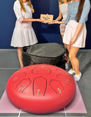 drum 10 inch new with bag