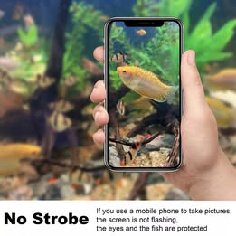 Aquarium Light with Timer Full Spectrum LED Fish Tank Marmine 5Color 120-145cm