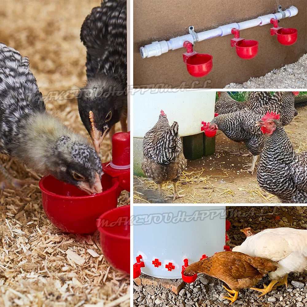 10 Automatic Chicken Water Cup Waterer Poultry Drinking Bowl Feeder Drinker Tool
