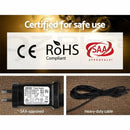 10m 10 bulb Festoon Lights String Wedding Party