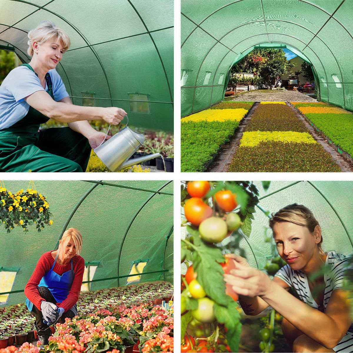 Walk-In Greenhouse Tunnel, 6 x 3 x 2m