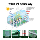 Greenhouse Tunnel Walk-In Green House Garden Plant Storage PE