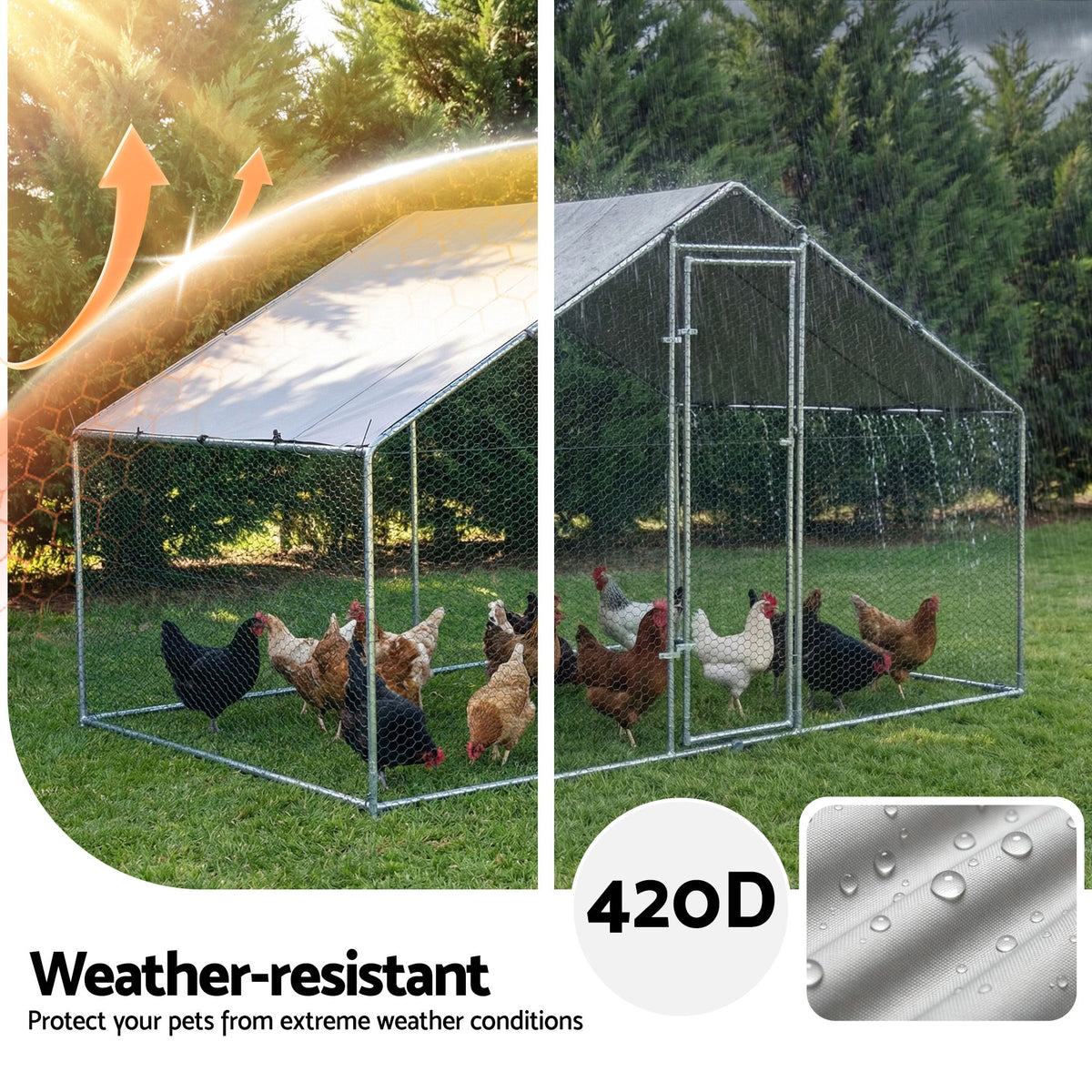 Walk-In Chicken Coop & Rabbit Hutch, 3 x 2 x 2m