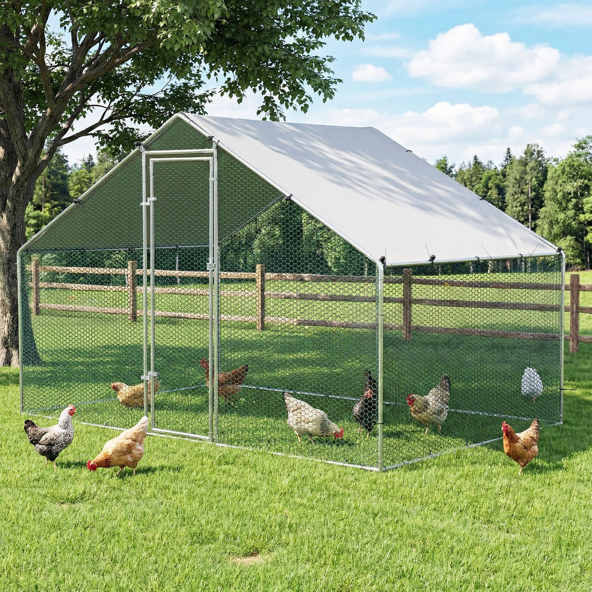Walk-In Chicken Coop & Rabbit Hutch, 3 x 2 x 2m