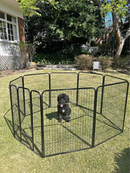 dog enclosure playpen new  100 x 80cm  x 8 panels