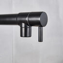✅Black Kitchen Mixer Taps 360° Swivel Pull Out Spout Spray Sink Faucet Brass