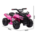 Kids Electric Ride-On Quad Bike, Pink