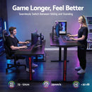 📦Electric Gaming Desk RGB Sit Stand Height Adjustable Table Black